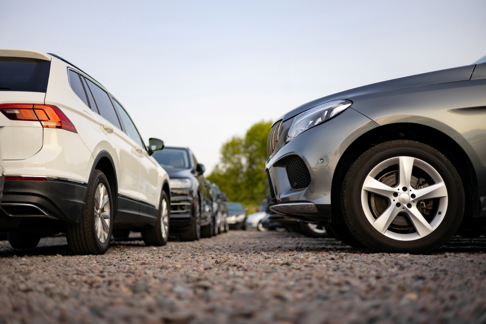 Pre-owned vehicles at a car dealership Avada Car Dealership